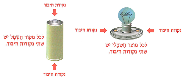 (בספר איור של נורה בתוך בית נורה)